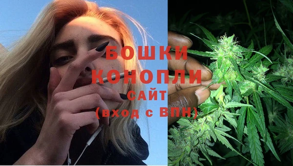 амф Ладушкин