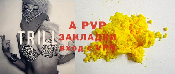 амф Ладушкин
