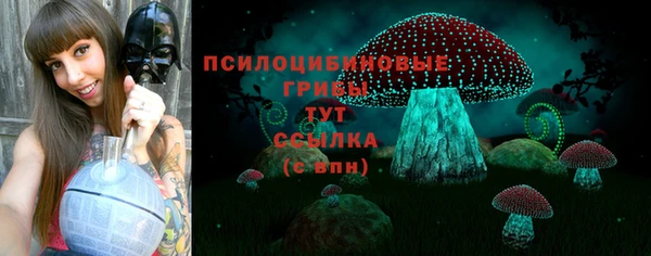 амф Ладушкин