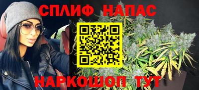 стафф Дубна