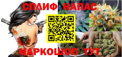 стафф Дубна