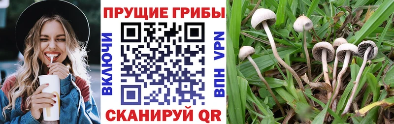Галлюциногенные грибы Magic Shrooms  Кубинка 